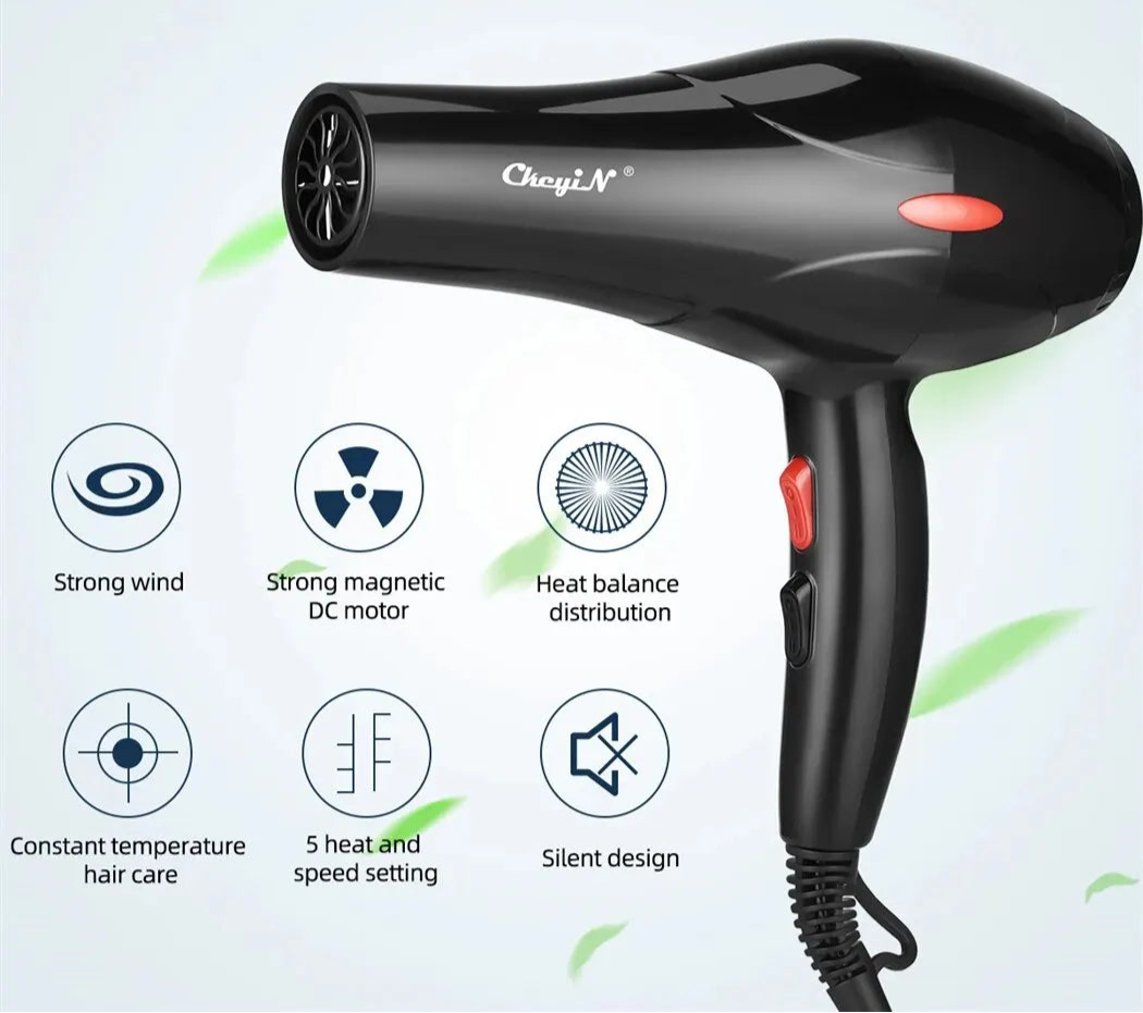 1600W Professional Ionic Hair Dryer